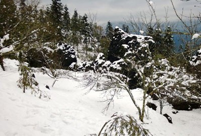 Snowfall covers Sa Pa (Photo: SGGP)